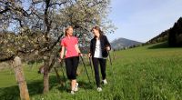 Nordic Walking in den Kitzbüheler Alpen