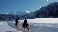 Familienerlebnis im Jugendferienheim Adler in den Kitzbüheler Alpen